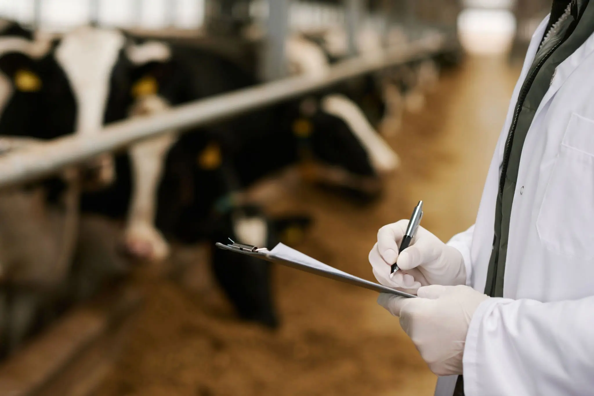 Inspección y Certificación de Buenas Prácticas de Manufactura y/o Buenas Prácticas de Almacenamiento de productos de uso veterinario.